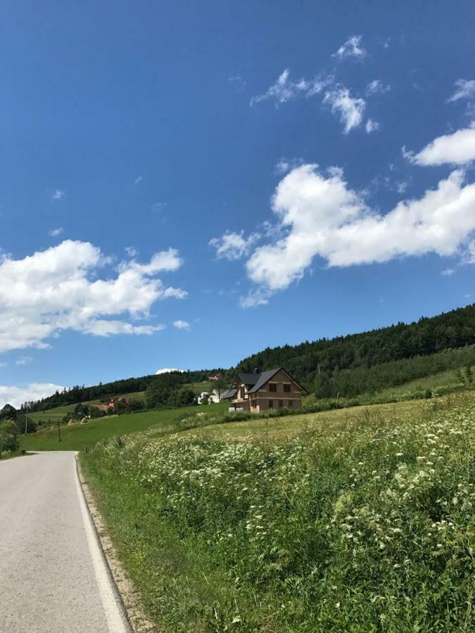 Malinowy Domek Mlynczyska エクステリア 写真
