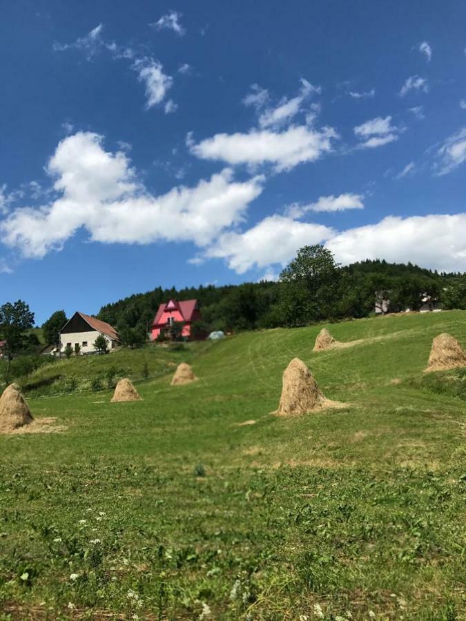 Malinowy Domek Mlynczyska エクステリア 写真