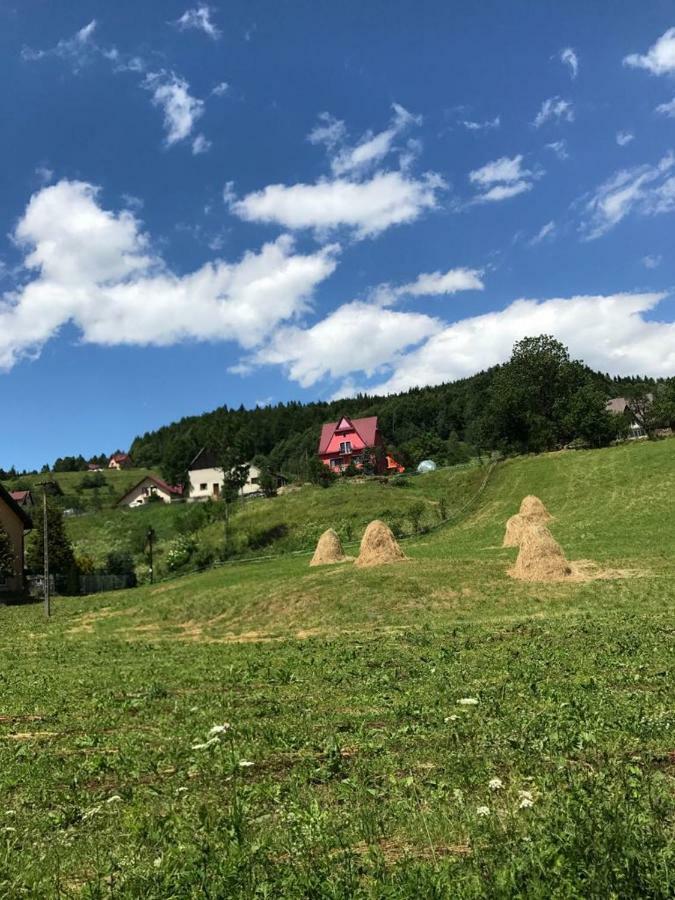 Malinowy Domek Mlynczyska エクステリア 写真